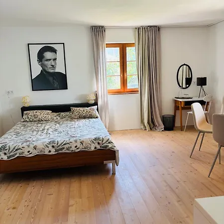 Apartment Traunsteinstrasse Gmunden